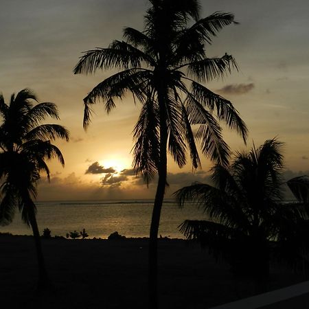 Faza View Inn, Maafushi Ngoại thất bức ảnh