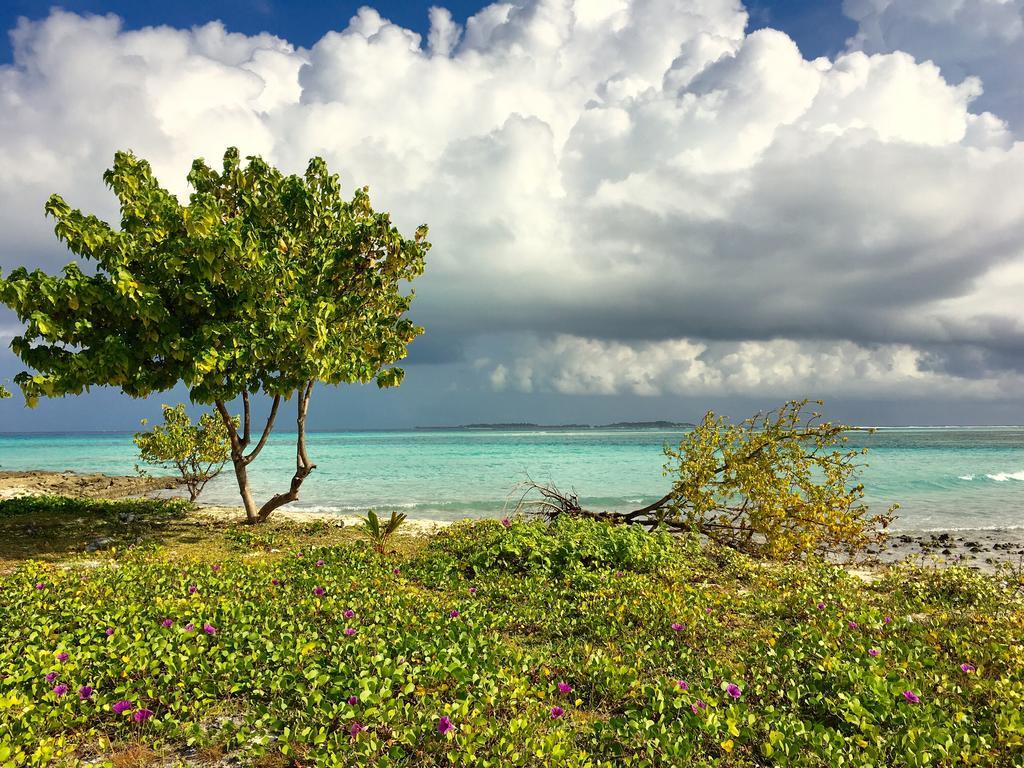 Faza View Inn, Maafushi Ngoại thất bức ảnh